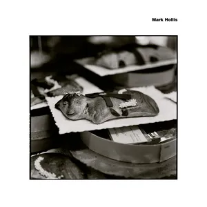Mark Hollis